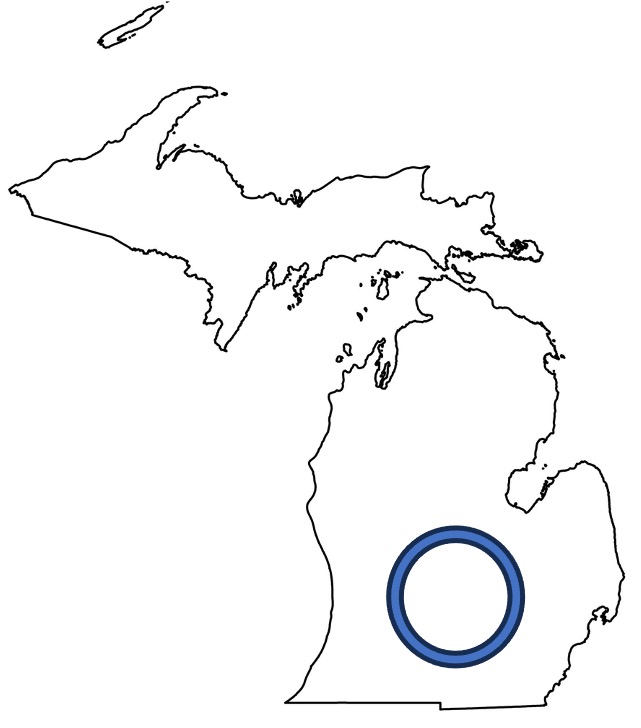 Michigan Map with a circle designating the region for this report.